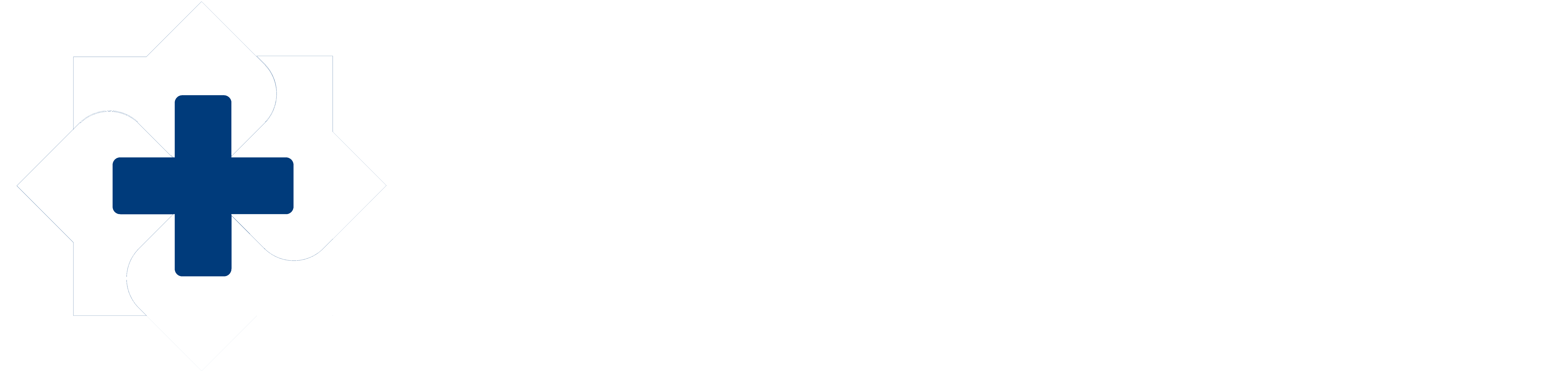 Shin Skin Medical